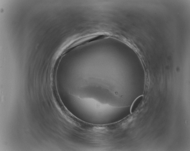 X0000084020055200703022107