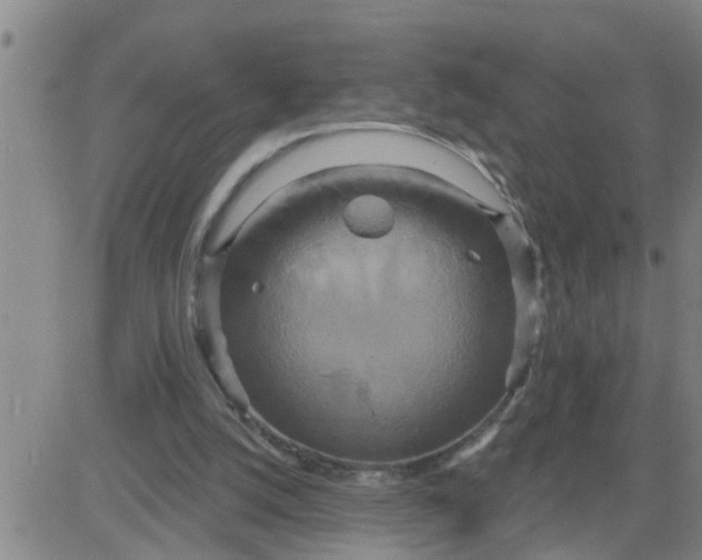 X0000084020056200703022107