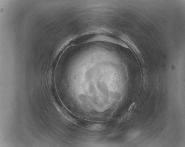 X0000084020058200703022107