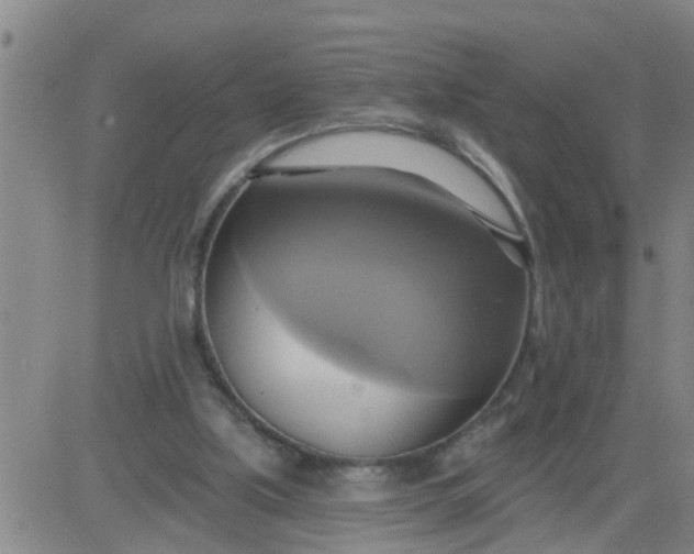 X0000084020059200703022107