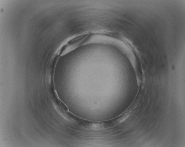 X0000084020060200703022107