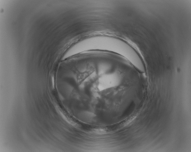 X0000084020061200703022107