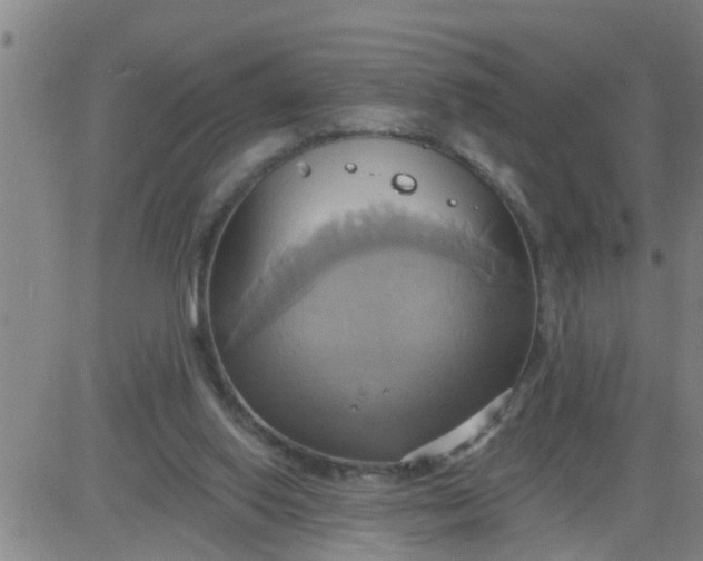 X0000084020062200703022107