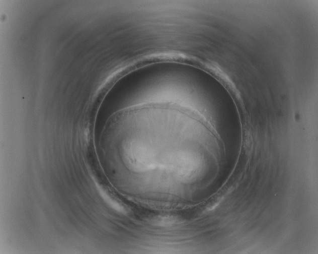 X0000084020063200703022107