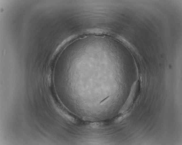 X0000084020064200703022107