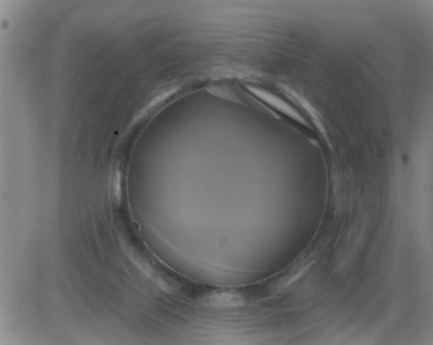 X0000084020067200703022107