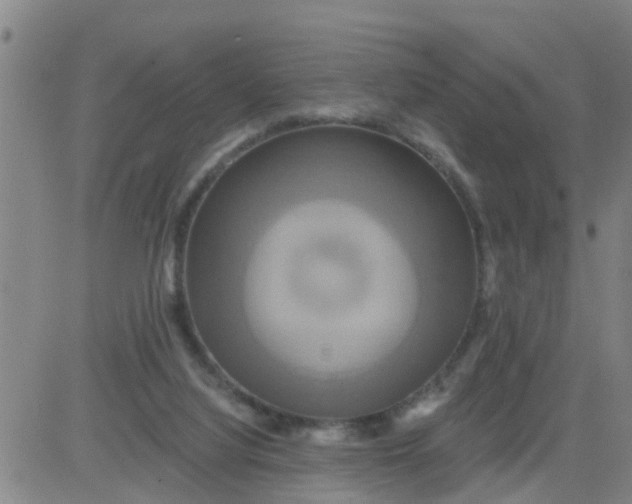 X0000084020068200703022107