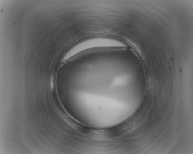 X0000084020069200703022107