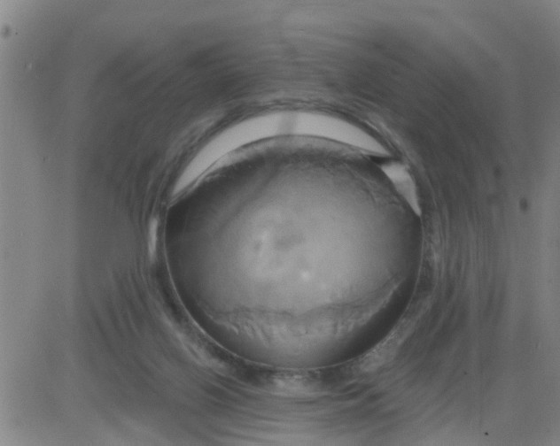 X0000084020070200703022107