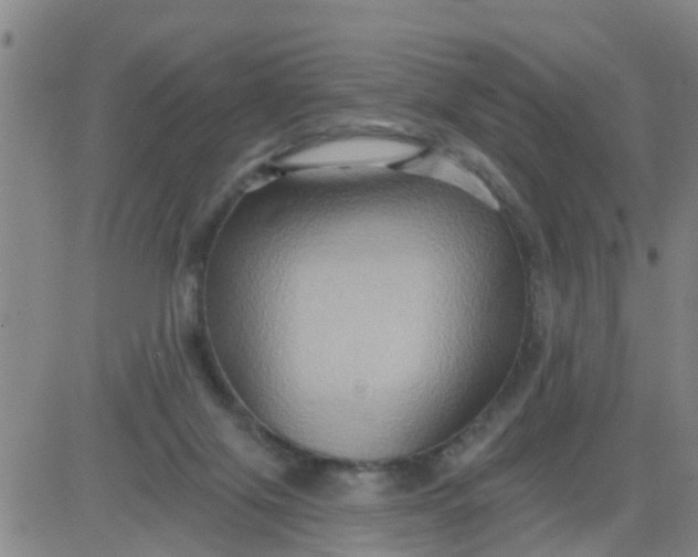 X0000084020071200703022107