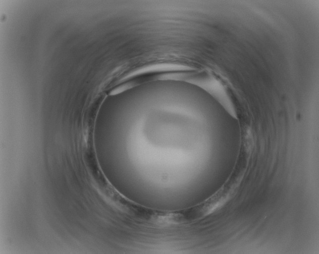 X0000084020072200703022108