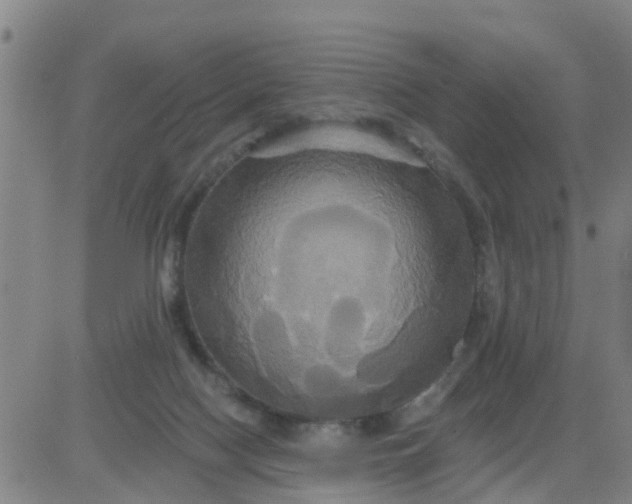 X0000084020074200703022108