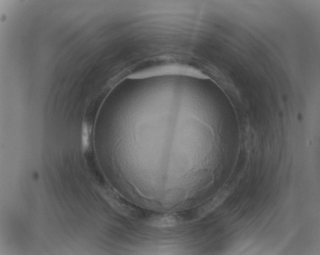 X0000084020075200703022108