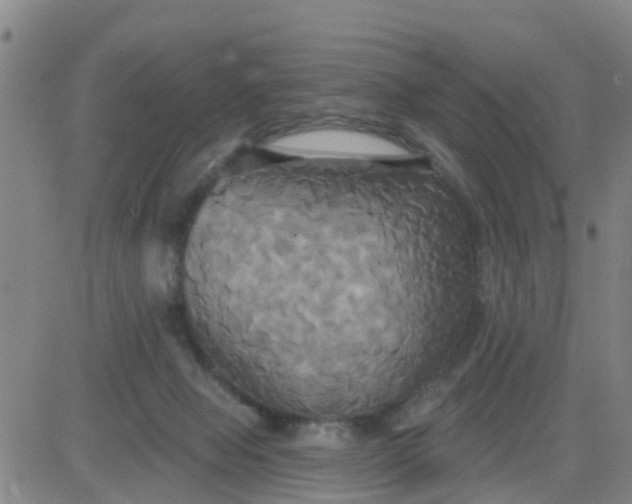 X0000084020077200703022108