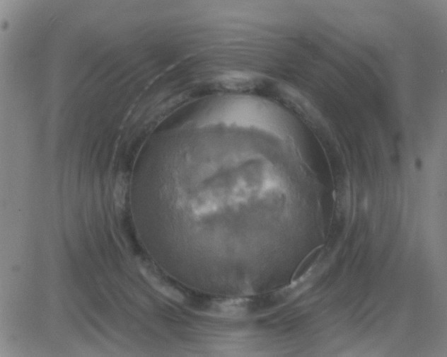 X0000084020078200703022108