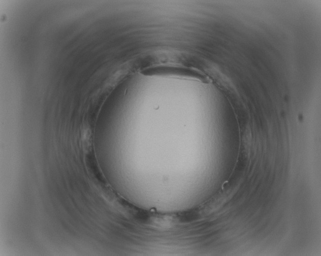 X0000084020079200703022108