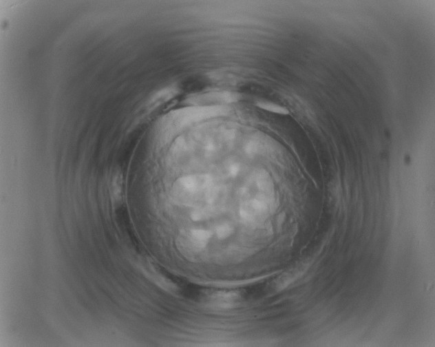 X0000084020081200703022108