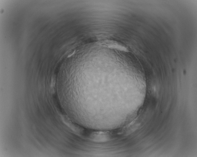 X0000084020082200703022108