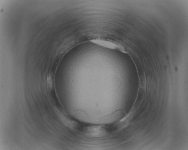 X0000084020086200703022108