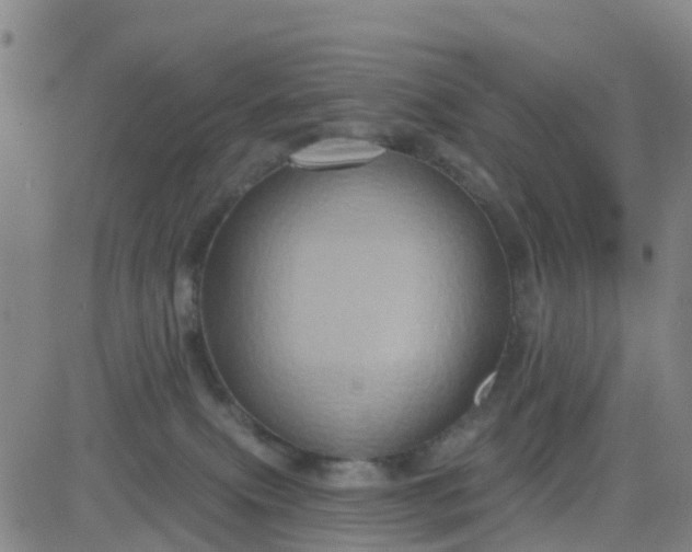 X0000084020087200703022108