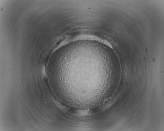 X0000084020089200703022108