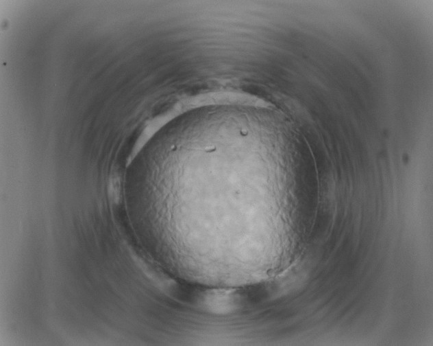 X0000084020090200703022108