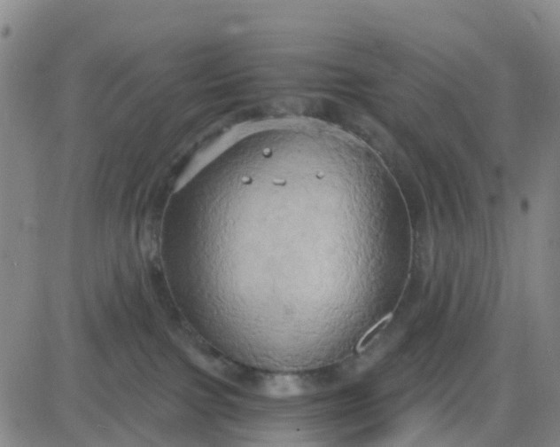 X0000084020091200703022108