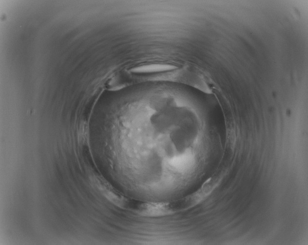 X0000084020093200703022108