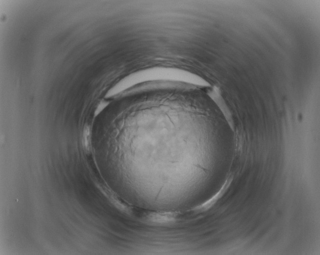 X0000084020094200703022108