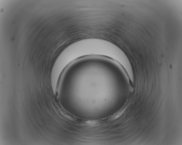 X0000084020095200703022108