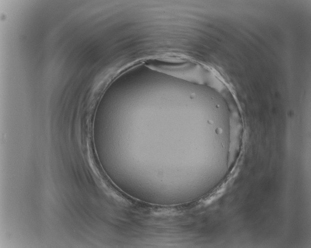 X0000084020097200703022107