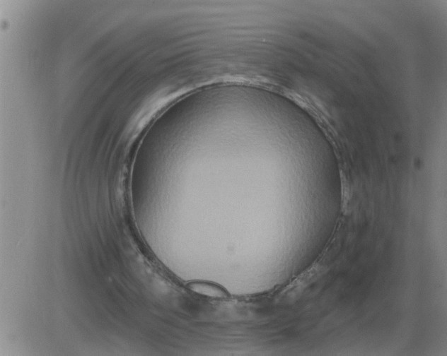 X0000084020098200703022107