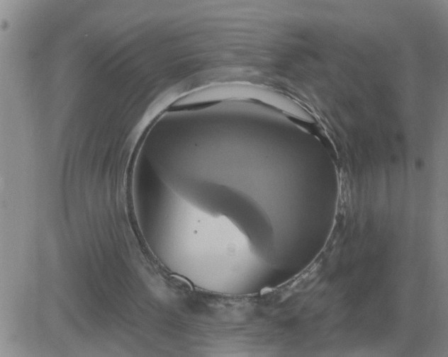 X0000084020099200703022107