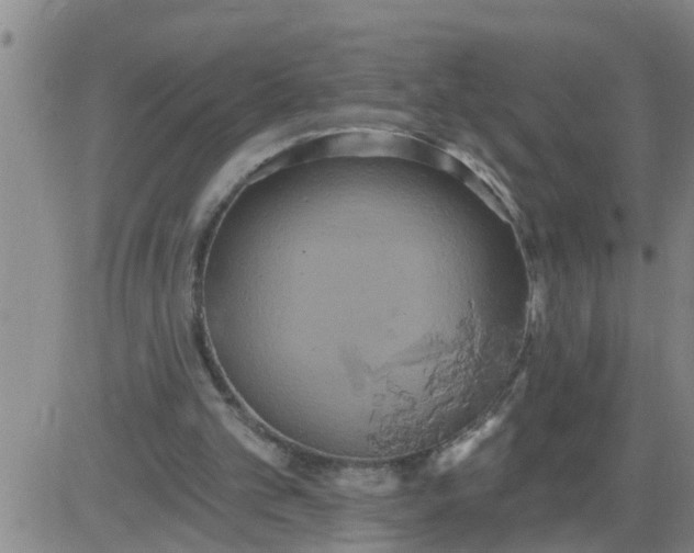 X0000084020101200703022107