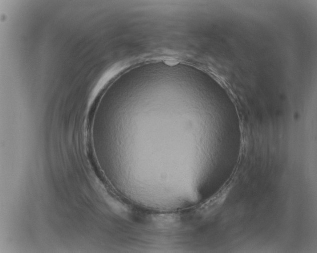 X0000084020102200703022107