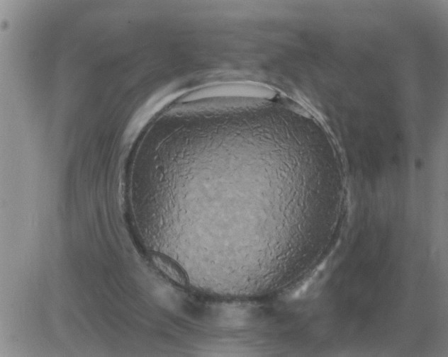 X0000084020103200703022107