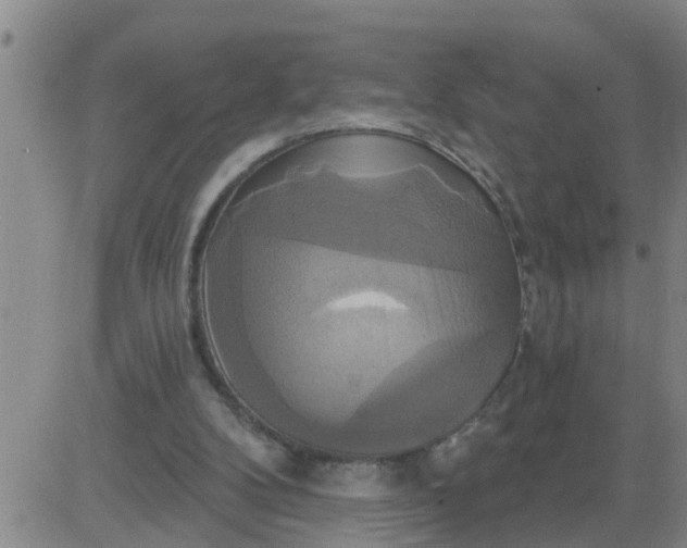 X0000084020104200703022107