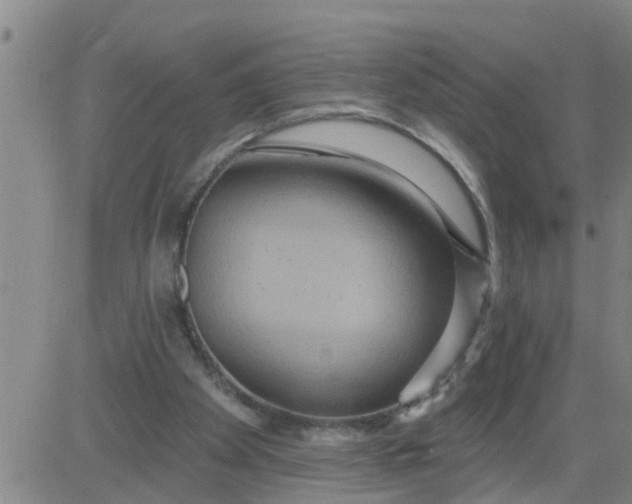 X0000084020105200703022107