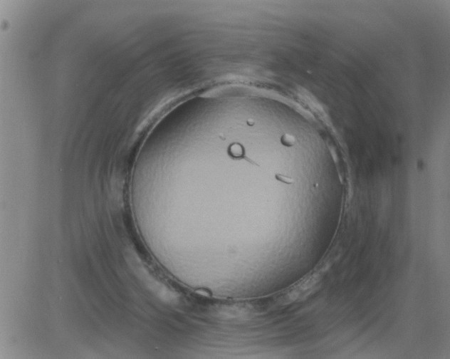 X0000084020106200703022107