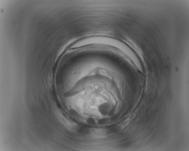 X0000084020107200703022107