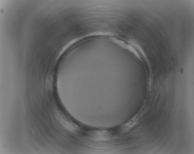 X0000084020108200703022107