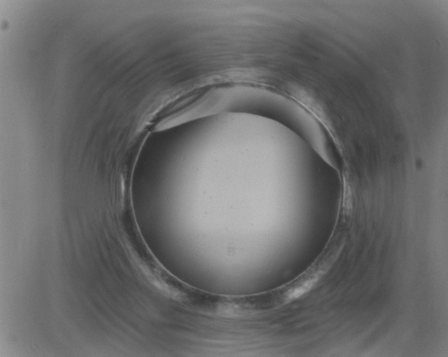 X0000084020109200703022107