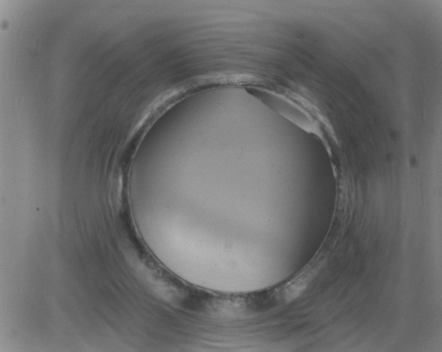 X0000084020110200703022107