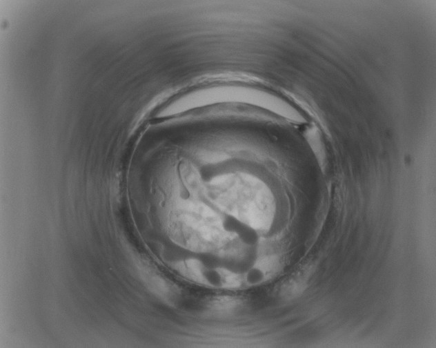 X0000084020111200703022107