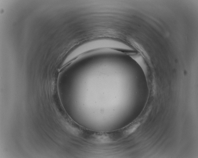 X0000084020113200703022107