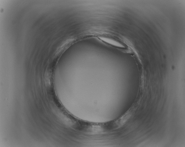 X0000084020114200703022107