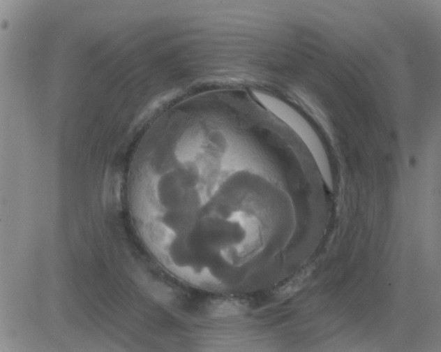 X0000084020115200703022107