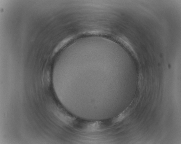 X0000084020116200703022107