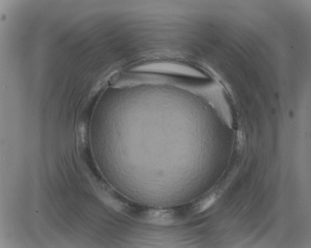 X0000084020117200703022107