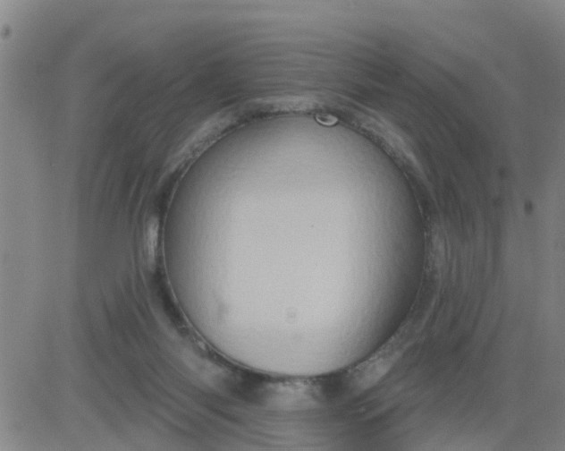 X0000084020118200703022107